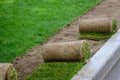 Restoration of a lawn covering with the help of a rolled lawn. Real grass in peat rolls. Quick way to improve the