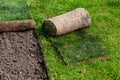 Restoration of a lawn covering with the help of a rolled lawn. Real grass in peat rolls. Quick way to improve the territory