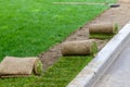 Restoration of a lawn covering with the help of a rolled lawn. Real grass in peat rolls. Quick way to improve the