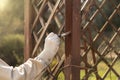 Restoration and maintenance of the garden pergola. A man`s hand in a rubber glove holds a brush and paints a wooden board of a gar Royalty Free Stock Photo