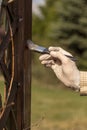 Restoration and maintenance of the garden pergola. A man`s hand in a rubber glove holds a brush and paints a wooden board of a gar Royalty Free Stock Photo