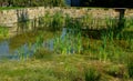 restoration of a pond with a stone wall buried under the terrain. fire tank