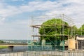 Restoration and shaping of tree in european city