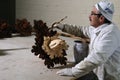 Restoration wooden ceiling