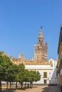 Restoration work is underway at the Giralda Bell Tower. Catholic Cathedral of Seville Cathedral of Santa Maria de la Sede de