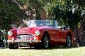 Restored Classic Austin Healey Convertible