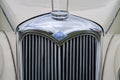 Restored Riley front grill and badge