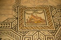 Roman house ruins in Brescia. Mosaic floor detail, Brescia, Italy