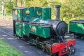 A restored vintage steam locomotive in dappled autumn sunlight
