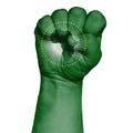 A restrained image of a fist painted in the colors of the flag of the African Union. Image on a white background Royalty Free Stock Photo