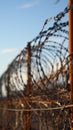 Restricted access Fenced perimeter secured with formidable barbed wire