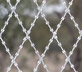 Restricted Area Barbed Fence, security concept Royalty Free Stock Photo