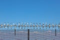 Metal security fence against a clear blue sky background Royalty Free Stock Photo