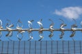 Metal security fence against a clear blue sky background Royalty Free Stock Photo