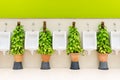 Restroom interior with white urinal row and ornamental plants Royalty Free Stock Photo