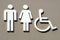 Restroom pictogram man women handicap toilet 3D wheelchair icon