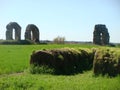 Rests of an old Roman aqueduct in the Roman countryside to spring in Italy.