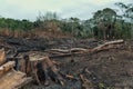 Result of the deforestation of the rainforest with burnt down fields and extensive logging Royalty Free Stock Photo