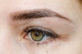 Result of permanent makeup, tattooing of eyebrows Royalty Free Stock Photo