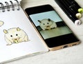 result of sketching photo of eathing white hamster Royalty Free Stock Photo