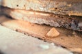 The result of the work of wood pest insects close-up. Wood chips under an oak board Royalty Free Stock Photo