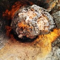 the result of a portrait of burning wood like entering a lava cave