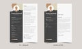 Resume and Cover Letter, Minimalist resume cv template, Cv professional jobs resumes