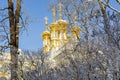 Resurrection church of Catherine palace in winter, Tsarskoe Selo Pushkin, Saint Petersburg, Russia Royalty Free Stock Photo