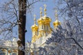 Resurrection church of Catherine palace in winter, Tsarskoe Selo Pushkin, Saint Petersburg, Russia Royalty Free Stock Photo