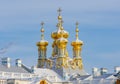 Resurrection church of Catherine palace in winter, Tsarskoe Selo Pushkin, Saint Petersburg, Russia Royalty Free Stock Photo