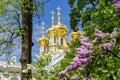 Resurrection church dome of Catherine palace in Pushkin Tsarskoe Selo in spring, Saint Petersburg, Russia Royalty Free Stock Photo