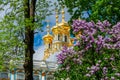 Resurrection church dome of Catherine palace in Pushkin Tsarskoe Selo in spring, St. Petersburg, Russia