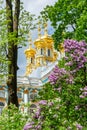 Resurrection church dome of Catherine palace in Pushkin Tsarskoe Selo in spring, St. Petersburg, Russia Royalty Free Stock Photo