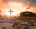 resurrection concept: the Lamb of God in front of the cross of Christ Jesus Royalty Free Stock Photo