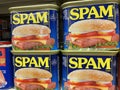 Retail grocery store can Spam meat original