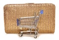 Retail therapy shopping trolley and handbag