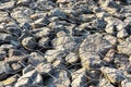 Retaining wall gabion on hill slope Royalty Free Stock Photo