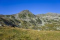 Retezat mountain and wild horses