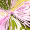 Reticulated floral pattern, stained glass window from tender petals