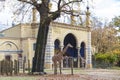 Reticulated giraffes (Giraffa reticulata) in the Berlin Zoo Royalty Free Stock Photo