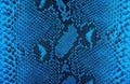Reticulated python skin as background. Blue snake skin Royalty Free Stock Photo