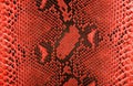 Reticulated python skin as background. Red snake skin Royalty Free Stock Photo
