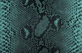 Reticulated python skin as background. Snake skin Royalty Free Stock Photo