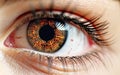 Retina scanner presented with brown eye. Royalty Free Stock Photo