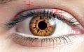 Retina scanner presented with brown eye. Royalty Free Stock Photo