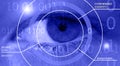 Retinal scan and biometric security. Royalty Free Stock Photo