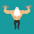 Retired athlete and dumbbells. Strong Santa fitness. Old man Sports. Powerful Senior Man with white beard