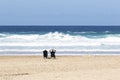 Retired couple sitting on the beach watching the ocean and waves Royalty Free Stock Photo