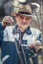 A retired farmer pruns the branches of a fruit tree in the garden Royalty Free Stock Photo