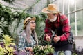 Retired gardeners working in orangery. Handsome bearded senior man in straw hat showing thumbs up for his lovely pretty Royalty Free Stock Photo